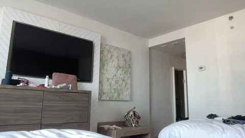 Video of a modern hotel room with a flat-screen TV on a wooden dresser, a zebra-patterned decorative sculpture, and a white wall with abstract art.