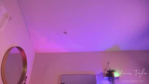 Video of a room with soft, purple lighting. Wall-mounted mirror with a gold frame on the left. A decorative hanging plant on the right. Neutral-colored walls and ceiling.