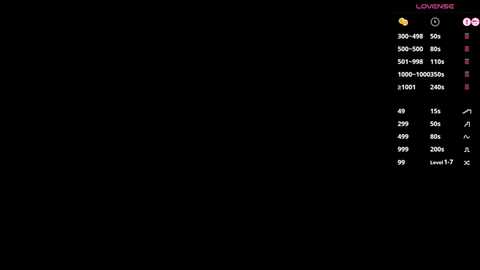 A screenshot of a dark, empty, black computer monitor with a menu bar at the top right corner displaying options like \"Zoom In,\" \"Zoom Out,\" \"100%,\" and \"X1.25.\