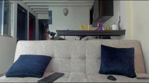 Video of a modern, minimalist living room with a white fabric sofa, two dark blue cushions, a TV remote on the sofa, and a small kitchen in the background.