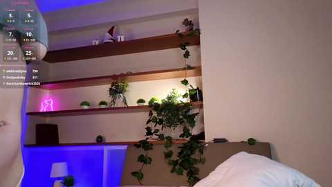 A video of a modern, minimalist bedroom with a wooden headboard, green plants, neon pink and blue lighting, and digital clock overlay.
