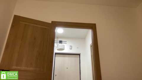 Video of an open door leading to a modern, minimalist bathroom with white walls, a wooden door, and a ceiling fan.