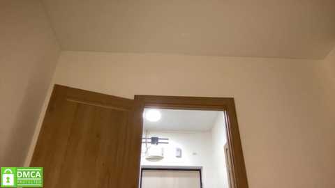 A video of a simple, sparsely decorated room with a partially open wooden door revealing a ceiling fan and light fixture in the background. The room has beige walls and a small, dark cabinet.