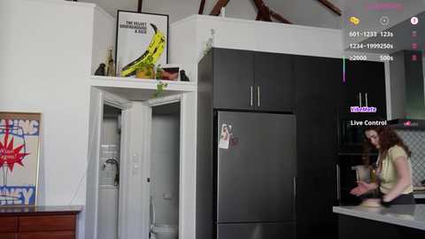 Video of a modern kitchen with a woman in a green shirt, a large black refrigerator, a yellow parrot, and a framed picture.