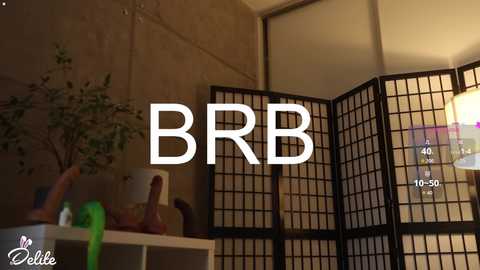Video of a modern, dimly-lit living room with a \"BBR\" sign, a potted plant, a clock reading 4:50, and a decorative folding screen.