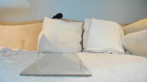 Video of a neatly made bed with a plush white comforter, two white pillows, and a neatly folded white sheet, against a soft beige headboard, with a silver laptop placed on the bed.