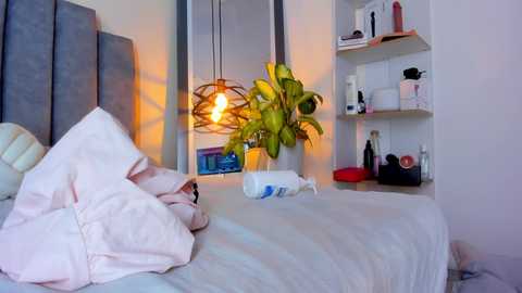 Video of a modern bedroom with a gray upholstered headboard, white sheets, a potted plant, a bedside lamp, a shelf with toiletries, and a white wall.