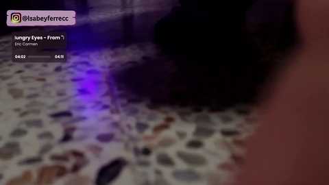Video of a dimly lit bathroom floor, with a blurred purple light source. Text overlay: \"Hungry Heart From the Corner\" by Bruce Springsteen, 4:42.