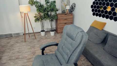 Video of a modern, minimalist living room with a grey armchair, wooden coffee table, potted plants, hexagonal wall art, and a yellow cushion.