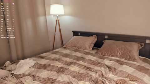 Video of a minimalist bedroom with a beige, quilted bedspread, two matching pillows, a wooden headboard, and a floor lamp with a white shade.