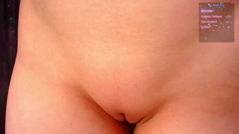 Close-up video of a nude person's pubic area, featuring light skin and visible hair follicles. The background includes a dark, indistinct setting and a corner of a screen with a chat log.