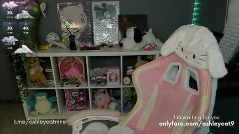 Video of a cozy room with a pink Pikachu plush on a chair, white shelves filled with plush toys, and a soft, pastel-colored ambiance.