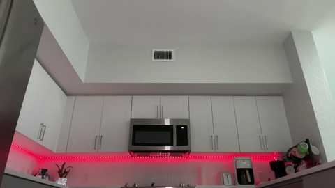 Video of a modern, minimalist kitchen with white cabinets, stainless steel appliances, and red LED under-cabinet lighting. The room features a microwave and sleek, silver handles.