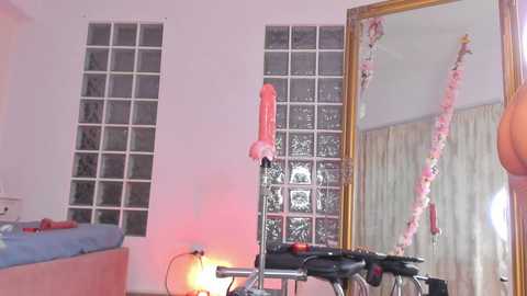 Video of a brightly lit room with a large mirror, pink dildo on a stand, and a bicycle leaning against the wall.