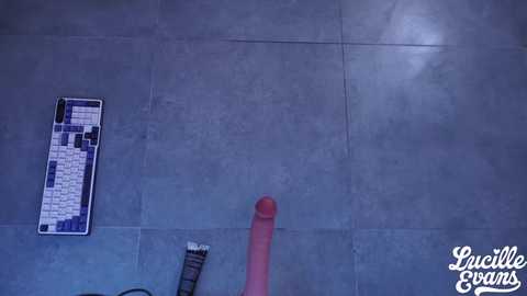 Video of a man's erect penis standing on a grey tiled floor with a black and white chessboard on the left side and a white label on the bottom right.