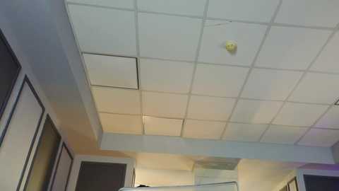A video of an indoor office ceiling with a grid of white tiles, a yellow ceiling light, and a fluorescent light fixture. The walls feature dark wooden panels and light-colored accents.