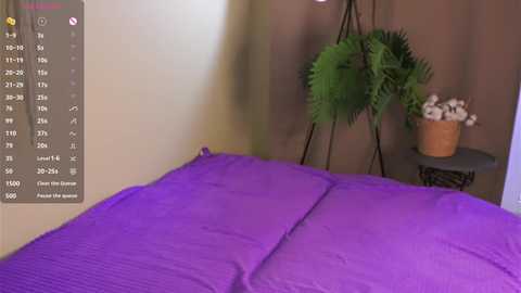 Video of a modern bedroom with a purple quilted bedspread, a green fern in a pot on a small black table, beige walls, and a digital clock display on the left.