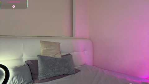 Video of a modern bedroom corner with a white tufted headboard, two pillows (one beige, one gray), and a gray bedspread, bathed in soft pink ambient lighting.
