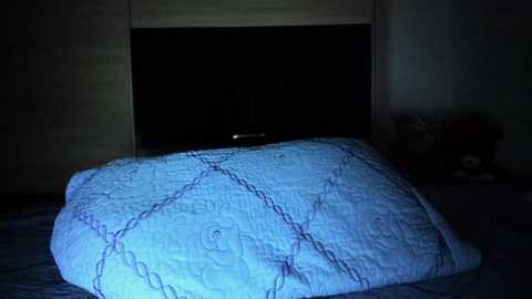 A dimly lit video shows a large, blue quilt with a diamond pattern on a bed, with a shadowy, dark room in the background.