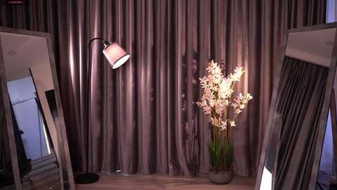 Video of a minimalist room with a beige curtain backdrop, a black floor lamp, a vase of white lilies, and two large, silver-framed mirrors on either side.