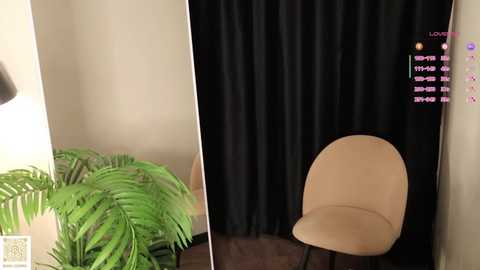 A split video: left, a green potted fern on a wooden table; right, a beige chair against black curtains, with a digital display showing \"LIVE\" and \"WATCH\" in pink text.