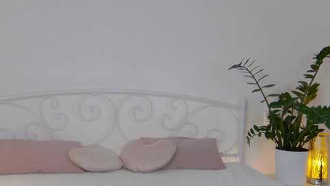 A video of a minimalist, white wrought-iron bed with a pale pink throw and pillow, against a plain white wall. A potted fern and a glowing yellow lamp on a side table add warmth.