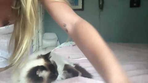 A candid video captures a blonde woman with long hair in a teal room, leaning over a white bed with a Grumpy Cat plush toy. The background includes a framed picture and a black object.
