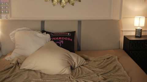 Video of a cozy bedroom with a beige bed, white pillows, and a brown throw, featuring a black pillow with \"Harvard\" text. The background includes a gold chandelier and a nightstand with a lamp.