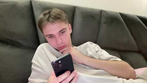 Media: Video of a young man with short brown hair, wearing a light gray t-shirt, lying on a dark gray sofa, holding a smartphone. He appears relaxed and focused on the screen.