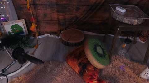 Video of a cluttered, cozy room with wooden paneling. Items include a green kiwi cushion, a wooden stool, a plush toy frog, a fuzzy rug, and a glass table with a white bottle.
