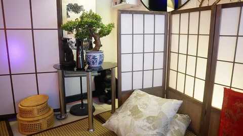 Video of a serene Japanese-style room with white paper screens, a bonsai tree, woven baskets, and a pillow with a floral pattern.
