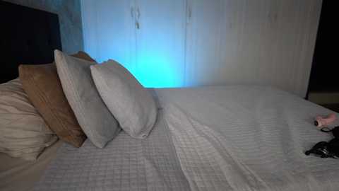 Video of a dimly lit bedroom with a white bed, beige pillows, and a blue glow from the wall, featuring a partially visible black object on the right.