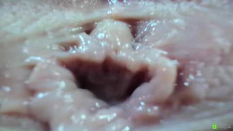 Close-up video of a human vagina, showing the inner lips and vaginal opening, with a pinkish hue and slightly moist texture, likely taken during a medical examination.