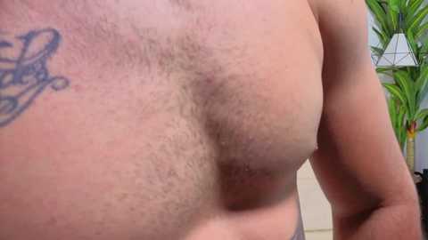 Video of a bare-chested, light-skinned man with a tattoo on his upper arm, showing a muscular chest with visible hair. Background includes a green plant and a white wall.
