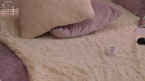 Video of a cozy bedroom scene with a plush, cream-colored pillow and a lavender cushion on a soft, beige faux fur rug. A remote control lies on the rug near the pillow.