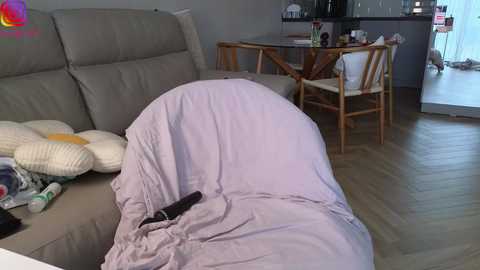 Video of a cozy living room with a beige couch, a TV remote on a light purple blanket, wooden dining table, and a kitchen area in the background.