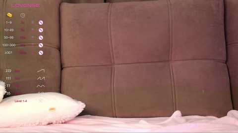 Video of a plush, brown, quilted couch with a plush, white pillow and a pink blanket on the lower left.