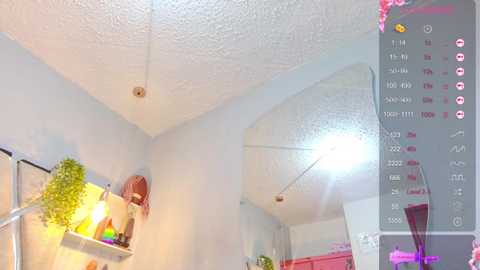 Video of a brightly lit, small room with white walls, a ceiling fan, and a potted plant on a shelf. A doll is visible on the left.