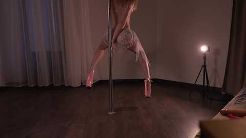 Video of a woman in a semi-transparent, glittery, pink dress dancing on a pole in a dimly lit room with beige walls and a dark wooden floor.