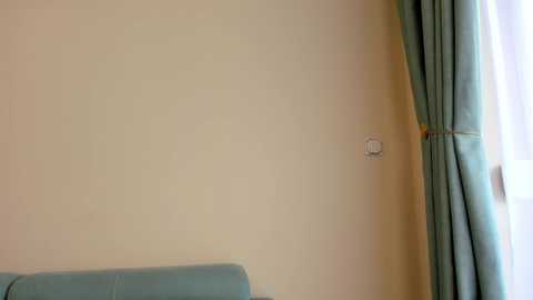 Video of a corner of a room with a beige wall and a light blue curtain. A small white switch is visible on the wall.