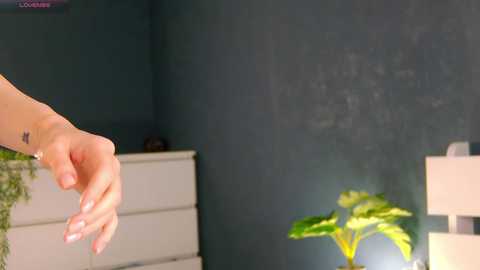 Video of a light-skinned woman's hand reaching out in a dimly lit room with dark green walls, a white dresser, and a green potted plant.