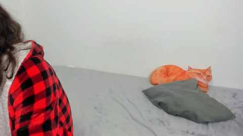 Video of a person in a red and black plaid shirt standing next to a grey bed with an orange cat curled up on a grey pillow. The background is plain white.