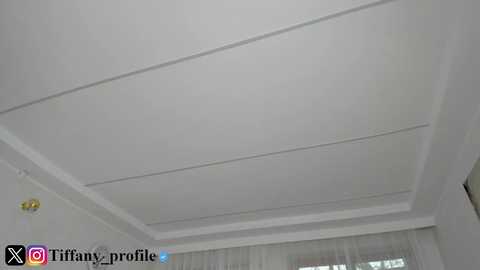 Video of a modern, high-ceilinged room with a white ceiling featuring recessed lighting. The room has white walls and a large window with sheer white curtains. The image includes a watermark with \"Tiffany_profile\" and social media icons.