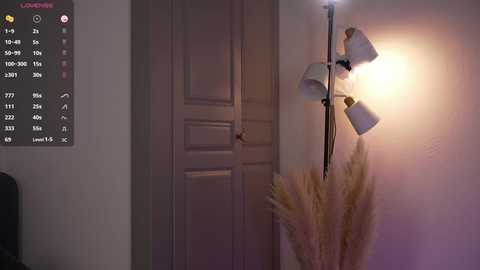 Video of a modern, dimly-lit bedroom with a beige door, white wall, and a tall, three-armed floor lamp with white shades casting soft light. Pampas grass decorates the floor.