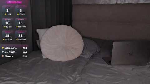Video of a dimly lit bedroom with a large, white, round pillow on a gray bed, a silver laptop partially visible, and a digital screen showing live stream stats.