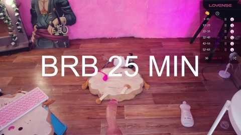 Video of a chaotic room with a pink wall, wooden floor, and a large, colorful toy box filled with toys. Text overlay reads \"BB 25 MIN.\