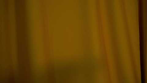 Video of a textured, mustard-yellow curtain with a slightly blurred, vintage look, showcasing subtle folds and shadows, creating a warm, inviting atmosphere.