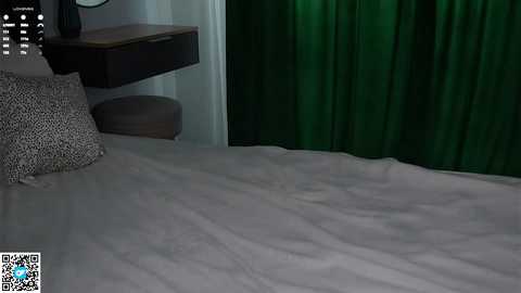 Video of a dimly lit bedroom with a gray bedspread, leopard-print pillow, green curtains, and a wooden nightstand.