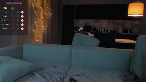 Video of a dimly-lit living room with a light blue sectional sofa, a TV displaying a \"Lovenese\" video feed, and a cozy kitchen in the background.