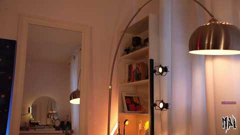 Video of a modern, well-lit bedroom with white walls, a large mirror, and built-in shelves filled with books and decorative items. A sleek, metallic lamp and a standing lamp with multiple lights add warmth.